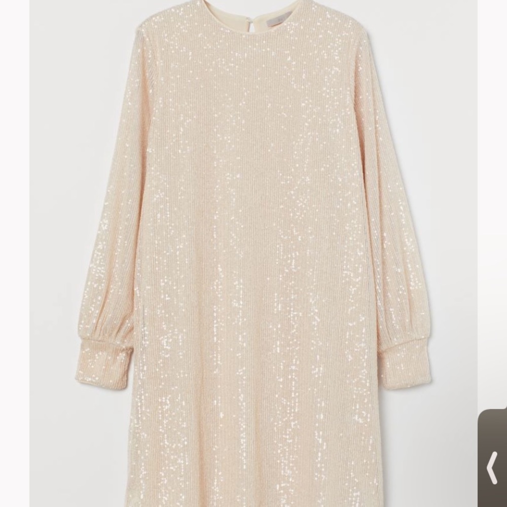 H&M Sequin Dress